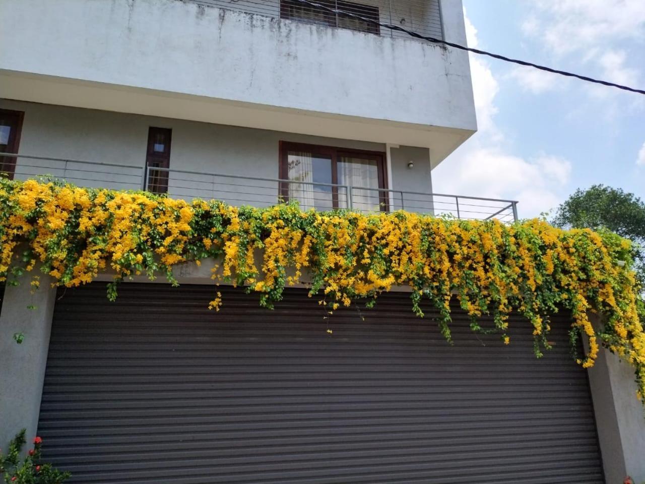 Homestay Thalangama Lakeview *