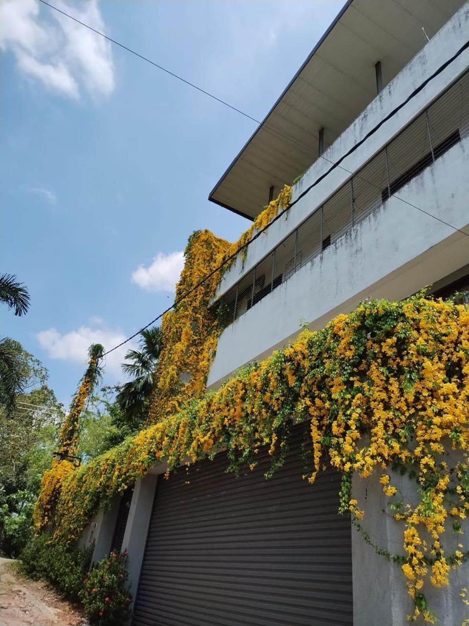 Thalangama Lakeview Homestay Battaramulla