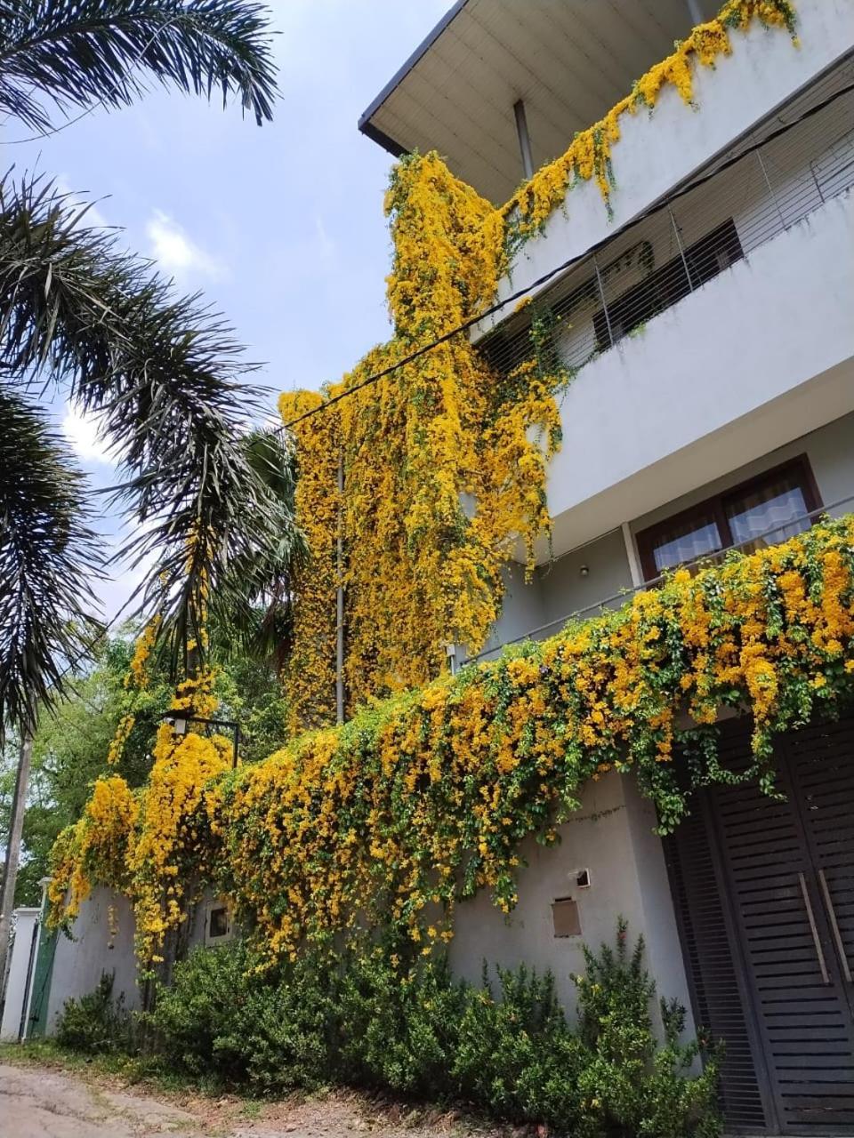 Homestay Thalangama Lakeview Battaramulla