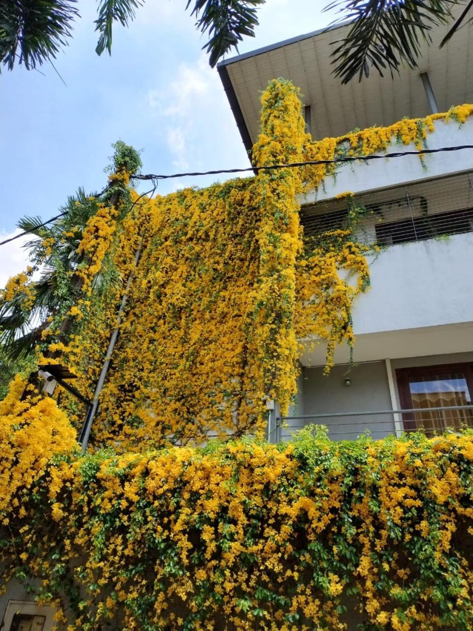 Thalangama Lakeview *